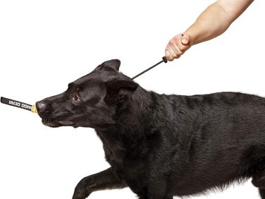 Нашийник для собак Dingo Gear, ручної роботи, міцний шнур, 2 обмежувачі, водонепроникний, для K9-тренувань, IGP, агітація, перехоплення, слухняність, чорний, L (S04049)