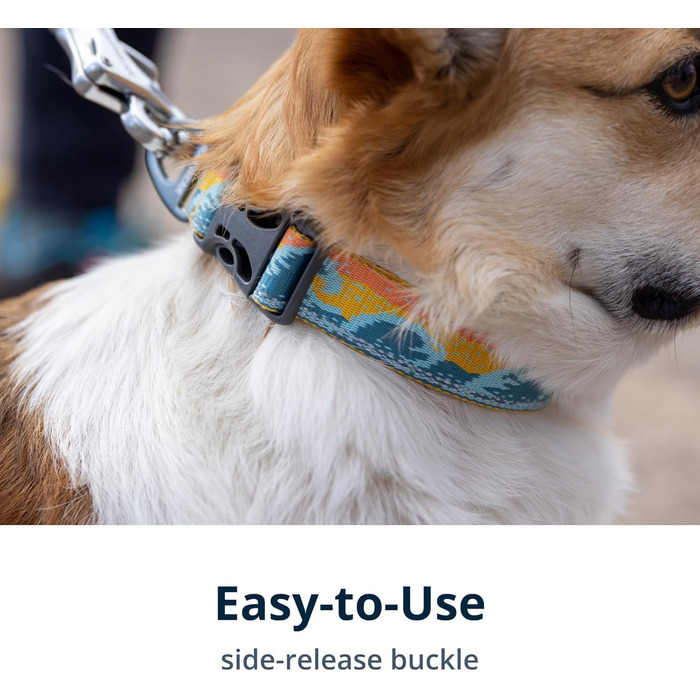 Нашийник для собак RUFFWEAR Crag, середній, 36-51 см, з алюмінієвим кільцем V, регульований, м'який, преміум-якість, для собак з можливістю підключення повідка