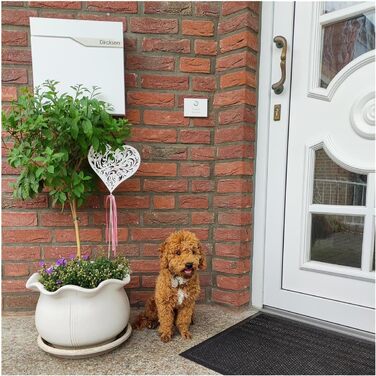 Поштова скринька Metzler антрацит з газетницею та табличкою для імені, RAL 7016, вулична, стійка до корозії, для настінного монтажу, сучасний дизайн 37x37x10.5 см