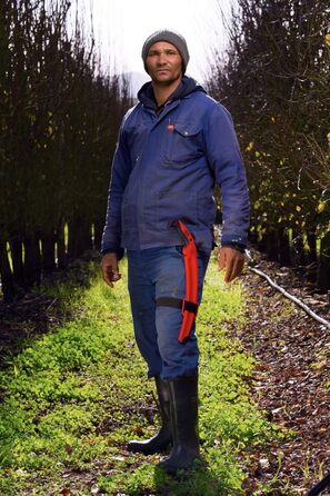 FELCO 630 Pruner (curved pruning saw, 33 cm blade, 120 mm cutting diameter, 495 mm length, tree saw including case)