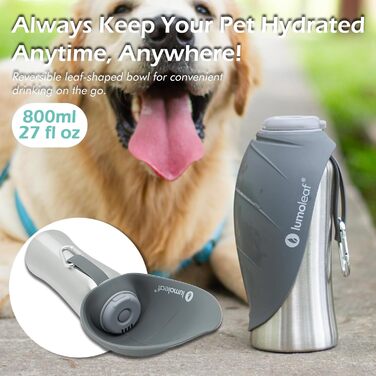LumoLeaf Stainless Steel Dog Water Bottle - 800ml Portable Pet Water Dispenser for Travel, Hiking & Camping (Gray)