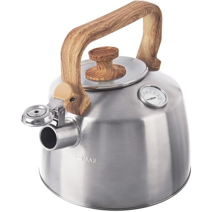 Електричний чайник зі свистком з нержавіючої сталі з термометром, 3.2 л