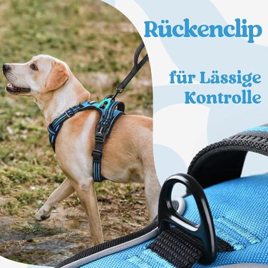 Нашийник для собак Rabbitgoo, великі породи, регульований, проти тяги, з ручкою, м'який, світловідбиваючий, блакитний, L (XL, 1 шт.)