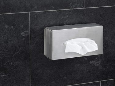 AMARE, Stainless Steel, Silver, Cosmetic Tissue Box