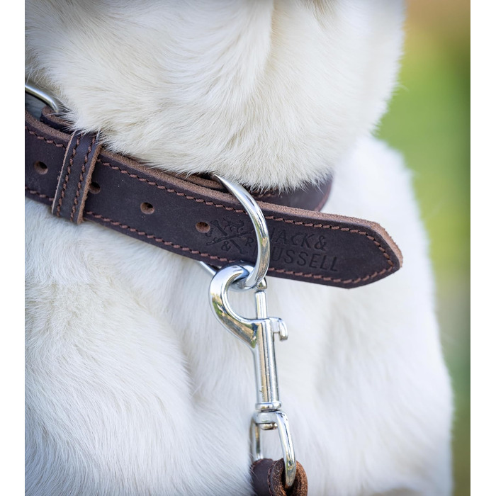 Нашийник для собак Jack Russell з жирової шкіри, ручної роботи – міцний шкіряний нашийник для собак маленьких, середніх та великих порід, Fat-Tony (XL), розмір 47-57 см