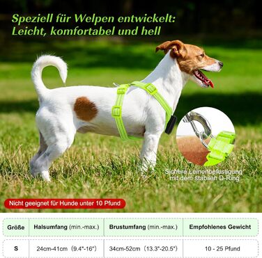 Світловідбиваючий нашийник для собак PZRLit з LED підсвічуванням, зарядний, для маленьких собак, XS, для безпечних прогулянок вночі (зелений)