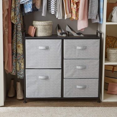 Amazon Basics - Closet Storage Organizer with 5 Fabric Drawers, White (Black)