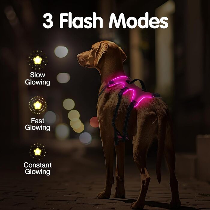 Світловідбиваючий нашийник для собак Jewyow з LED, перезаряджуваний, м'який, регульований, водонепроникний, для середніх та великих собак, зелений (рожевий, M)