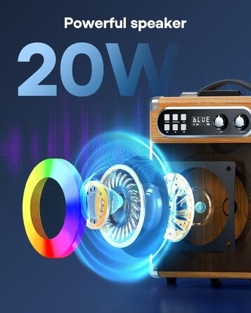 Портативна караоке-система з 2 бездротовими мікрофонами та акумуляторами, 20W, дерев'яний корпус