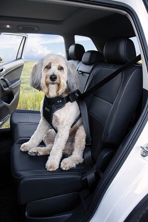 Плед-пояс для собак DogMaster 2.0, чорний, розмір XL