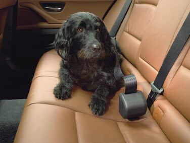 Kleinmetall Click'n Roll Automatic Retractable Dog Leash - Single