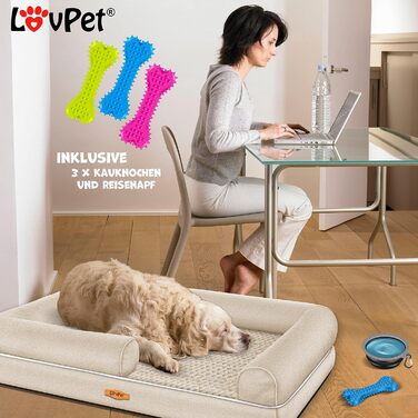 Orthopedic Dog Bed, Dog Cushion, Dog Basket, Relax, Incl. Bowl + 3x Chew Bones, Dog Sofa for Small, Medium & Large Dogs, Removable and Washable Cover, 91x71x22cm (XL (120 x 85 x 25 cm), Beige)