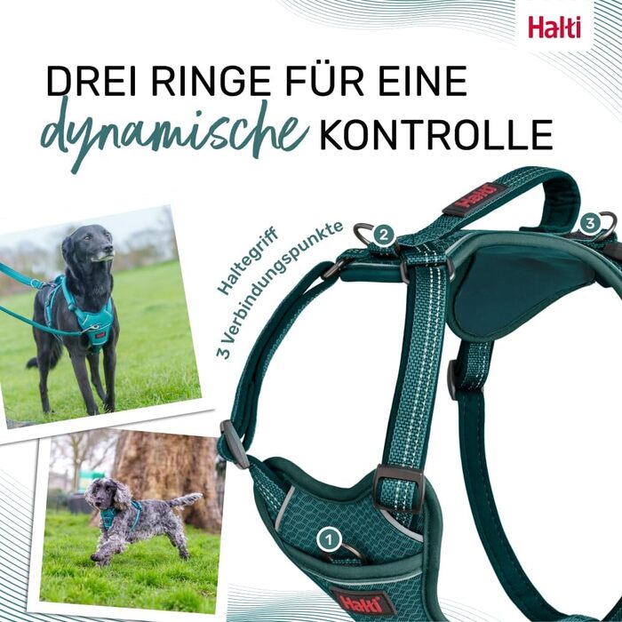HALTI Anatomy Dog Harness with Handle – Freedom of Movement for Your Dog. 3 Leash Attachment Points, Neoprene Padding, Adjustable and Reflective (Size L, Blue-Green)