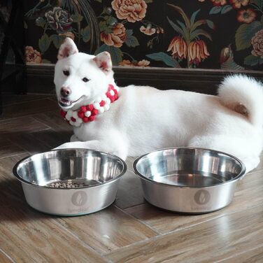 Миска для собак LumoLeaf з нержавіючої сталі, велика, 2 шт по 3000 мл, з неслизьким силіконовим дном, для великих і середніх собак, миска для води та корму, придатна для миття в посудомийній машині (подвійний набір)