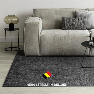 Килим для вітальні та спальні Maine Studio, 140x200 см, короткий ворс, антрацит