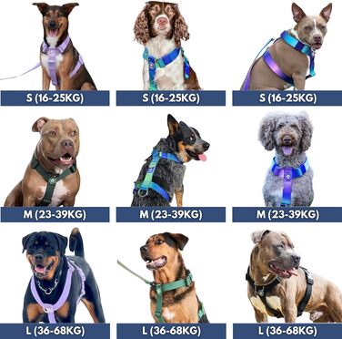 Шлейка для собак Spark Paws No Pull для великих порід, регульована, з фронтальною застібкою, Y-подібна, міцна, розмір L (36-68 кг), колір Пастельний Лавандовий