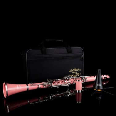 Професійна кларнет Glory GLY-CLAGN з ебоніту, Bb, з аксесуарами (10 вставок, стійка, кейс, серветка, щітки), зелений (рожево-сріблястий)