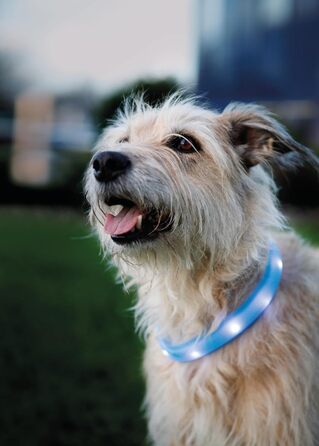 Світловідбиваючий нашийник для собак TRIXIE L-XL блакитний - безпечні прогулянки в темряві, перезаряджається, регулюється