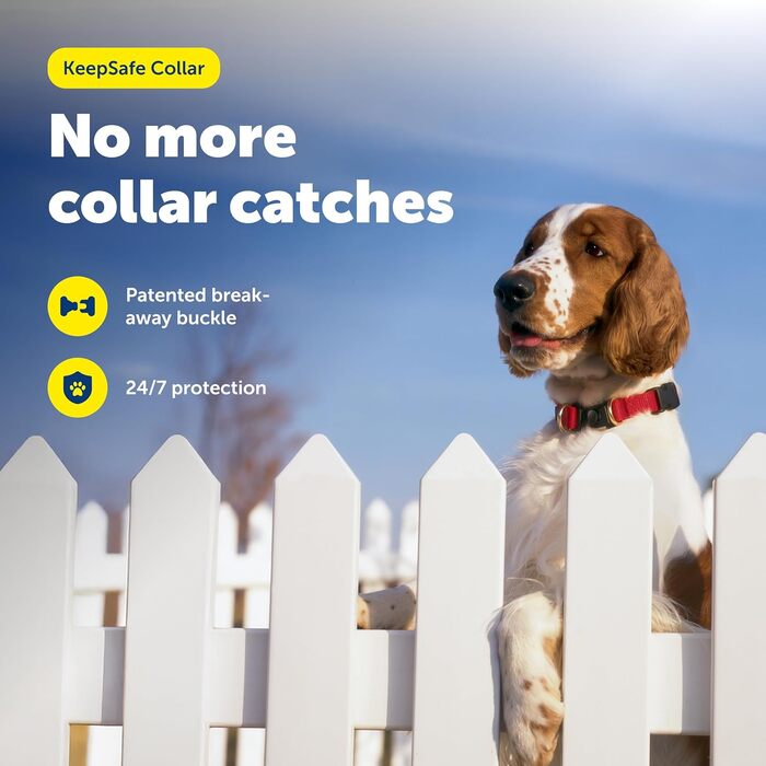 PetSafe KeepSafe надійне зносостійке нашийник для собак червоний Large (2.5 см)