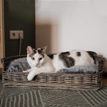 Ліжко для собак і котів UNUS з плетеної лози з подушкою, сіре, 61 x 44,5 x 15,5 см