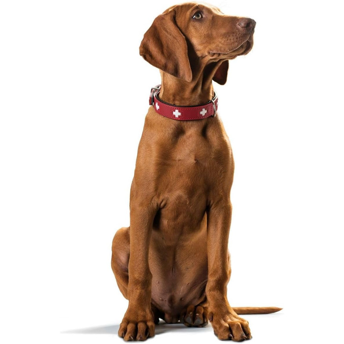 Нашийник для собак HUNTER Swiss, червоно-чорний, м'яка шкіра, ручна робота, розмір M-L (60)