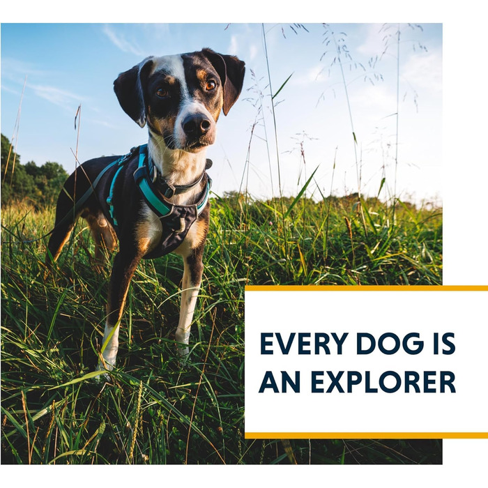 Нашийник Ruffwear Hi & Light Gechirr Alpenglow Pink для собак XS