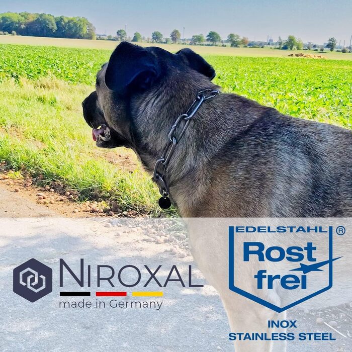 Нашийник для собак з обхватом шиї 49-53 см, нержавіюча сталь V4A, з запобіжником, ланцюговий, 5 мм, довжина 64 см