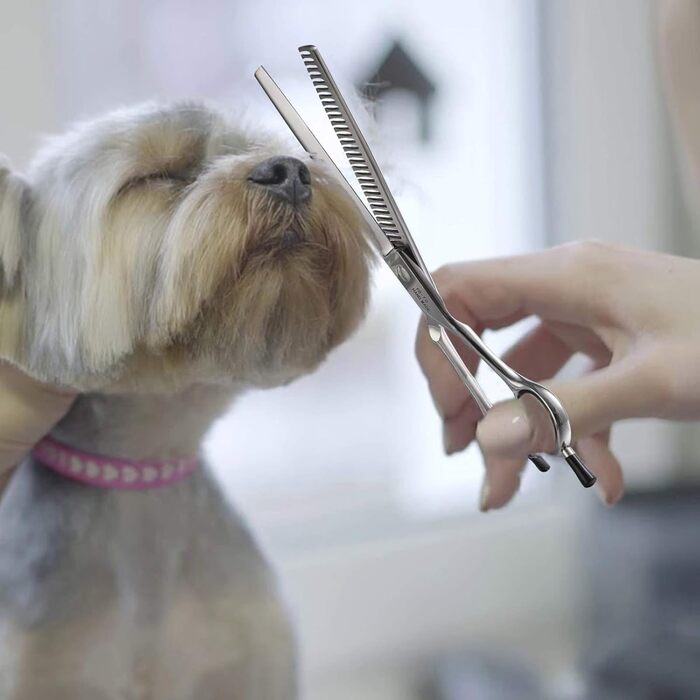 Ножиці для грумінгу собак та котів PURPLEBIRD 7.0 дюймів, вигнуті, з японської сталі 440C, ручна робота