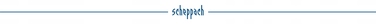 Акумуляторний шуруповерт Scheppach 20 В SCH5909227903