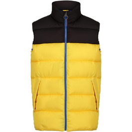 Жилет чоловічий Regatta Professional Vintage Puffer чорного кольору (Solarbetriebenes)
