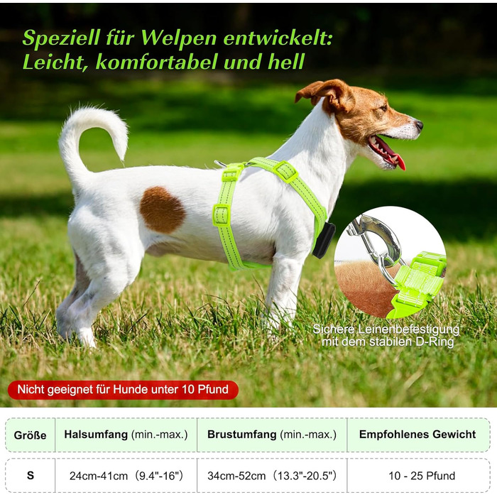 Світловідбиваючий нашийник для собак PZRLit з LED підсвічуванням, зарядний, для маленьких собак, XS, для безпечних прогулянок вночі (зелений)