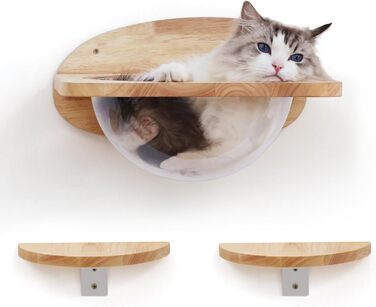Climbing Wall for Cats, Transparent Room Capsule with 2 Pedals as a Cat Wall Furniture Set, made of Solid Rubberwood, High-Quality Cat Bed for Sleeping, Playing, and Climbing - Supports up to 16KG