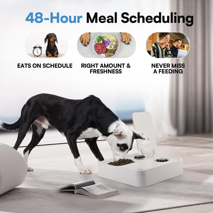 Автоматичний дозатор корму для котів та собак ALL FOR PAWS з таймером, для сухого та вологого корму, миється в посудомийній машині