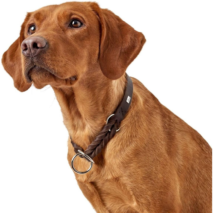 HUNTER Halsung Dressur SOLID EDUCATION, темно-коричнева, міцна шкіра, ручна плетіння, з гачком, Made in Germany, розмір L