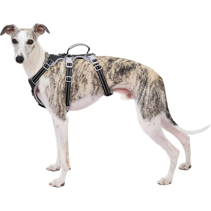 Шлейка безпеки для собак Huntboo, анти-пробіжна, світловідбиваюча з м'якою ручкою, регульована жилетка для маленьких собак, для прогулянок та тренувань (S), чорна, X-Small (упаковка з 1)