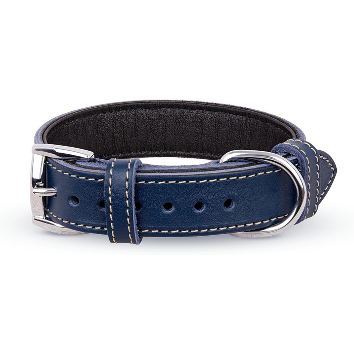 Нашийник для собак з м'якої шкіри, міцний та довговічний. Підходить для собак малих, середніх та великих порід. Колір: блакитний. Розмір: 28-36 см