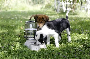 Диспенсер для води Kerbl Nuvola 3,8 л, Бежевий (миска, диспенсер) 81998