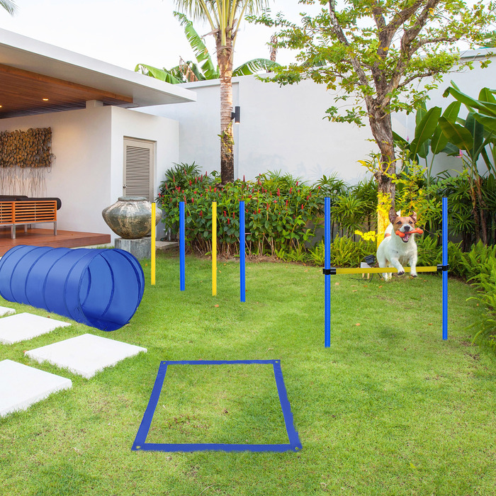 PawHut Dog Agility Set Training Equipment with Tunnel, Weave Poles, Hurdle, and Start Box for Active Dog Training Blue