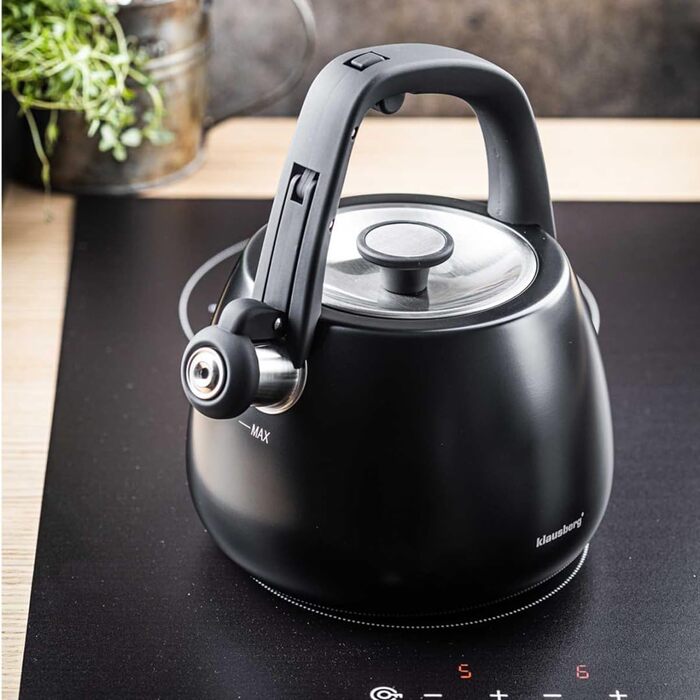 Чайник сталевий 2.5L Induktion (Чорний)