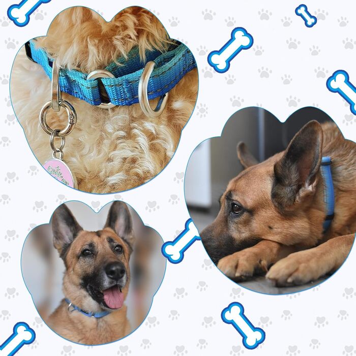 Нашийник для собак Martingale, світловідбиваючий, з зупиняючою функцією, для великих, середніх та маленьких собак, нейлон, блакитний, розмір L