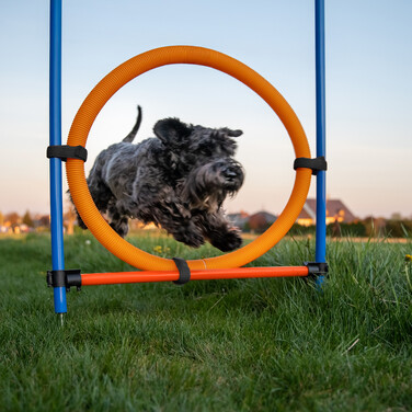 Relaxdays Agility Set for Dogs