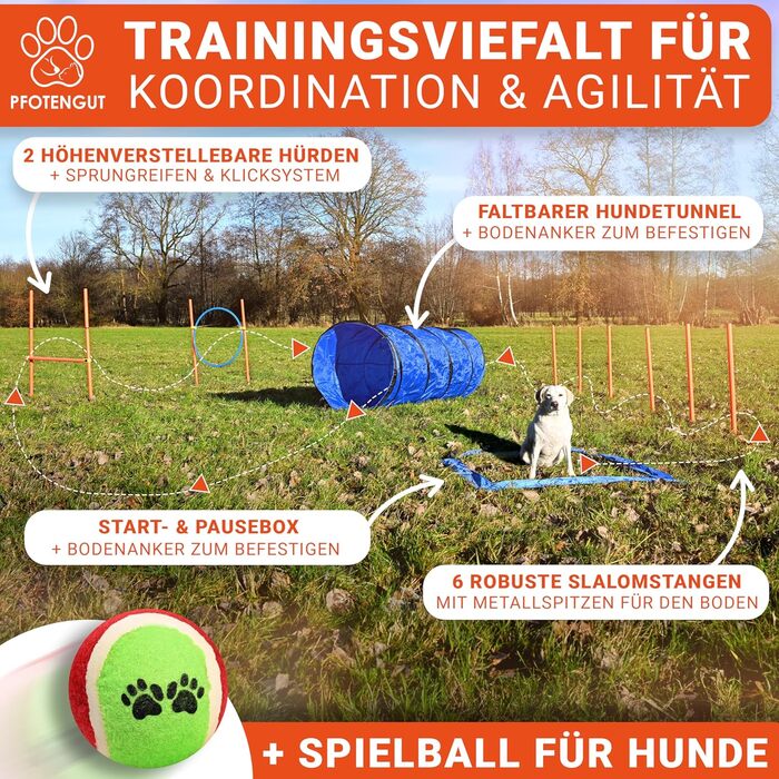 Набір для аджиліті для собак [11-TLG.] - універсальний набір з перешкодами, тунелем, слаломом та іншим для тренування та аджиліті собак - з аксесуарами та сумкою для транспортування, великий розмір