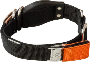 WowWow Professional Dog Collar with Leash - Size 37-46 cm, 195g, lightweight, innovative collar with integrated leash - known from 'The Lion's Den' (M, Black)