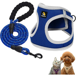 колір: блакитне та сіре