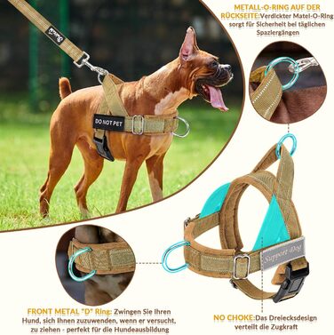 Шлейка для собак SlowTon середнього та великого розміру з повідком 1,55-1,7 м, м'яка та світловідбиваюча, з регульованою шиєю та грудьми, шлейка проти натягу для прогулянок, S, жовта