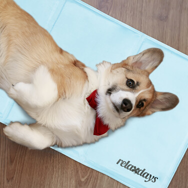 Relaxdays Blue Cooling Mat for Dogs