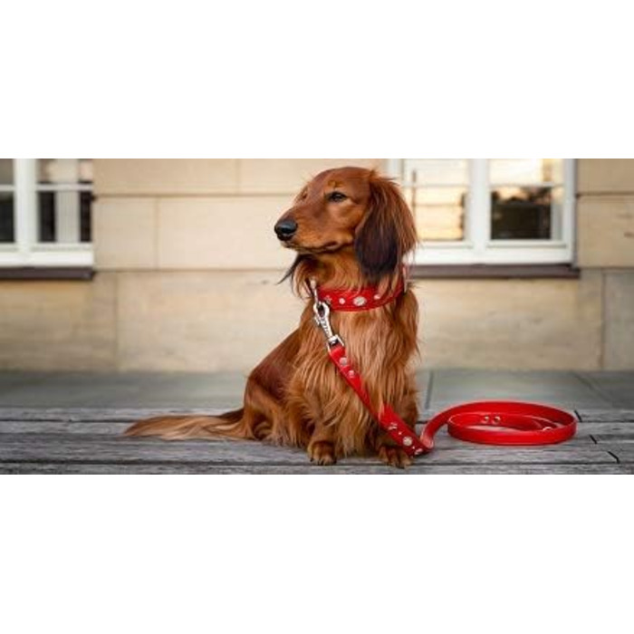 Julieta Leine, leather dog leash, leather lead for dogs, MATCHES Julieta collar, Red, leather, with lilies, rhinestones, and a large crystal