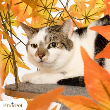 Дерево для котів Kratzbaum Natur - багатоярусне, з висувними елементами, 160 см, безпечні матеріали, патентована міцність