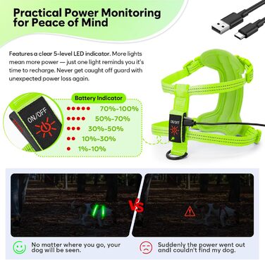 Світловідбиваючий LED нашийник для собак, USB-C, для маленьких собак, XS-S, для прогулянок вночі