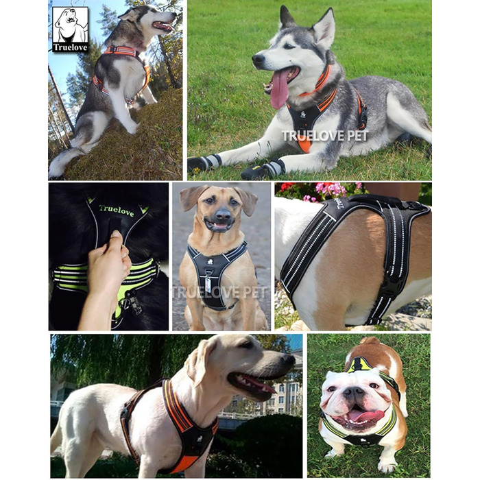 Шлейка для собак Truelove TLH5551 з ручкою, м'яка, з відбиваючим матеріалом (XS, блакитна)